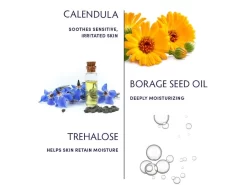 Naturopathica Calendula Essential Hydrating Cream 8 Naturopathica Calendula Essential Hydrating Cream -Classic Skin Care Product Store zgkc2lxo 202111292249494285